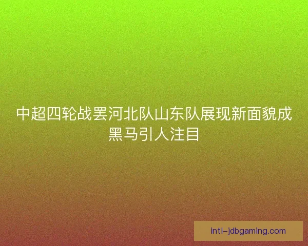 中超四轮战罢河北队山东队展现新面貌成黑马引人注目